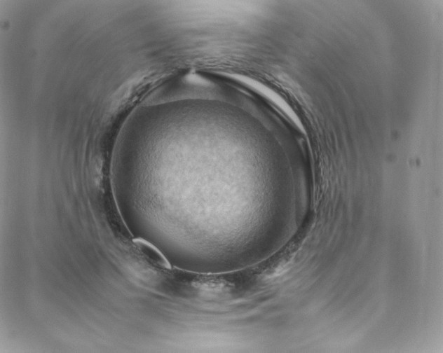 X0000088600693200705251214