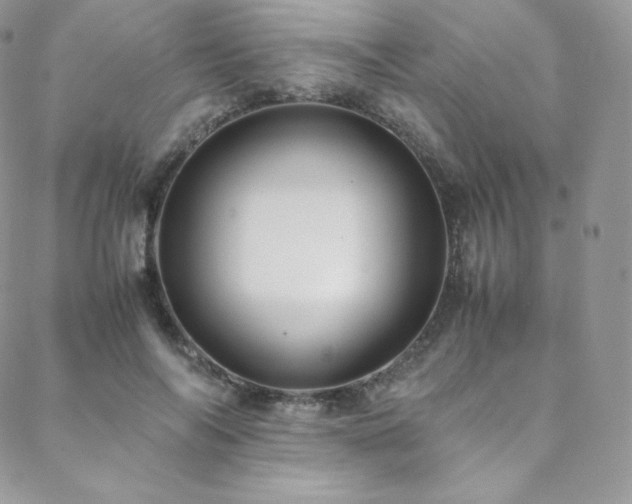 X0000088600694200705251214