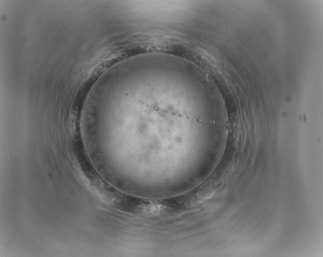 X0000088600695200705251214