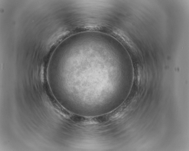 X0000088600696200705251214