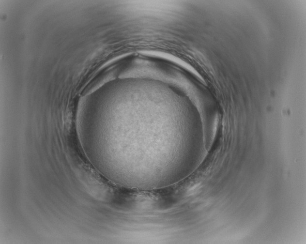 X0000088600697200705251214