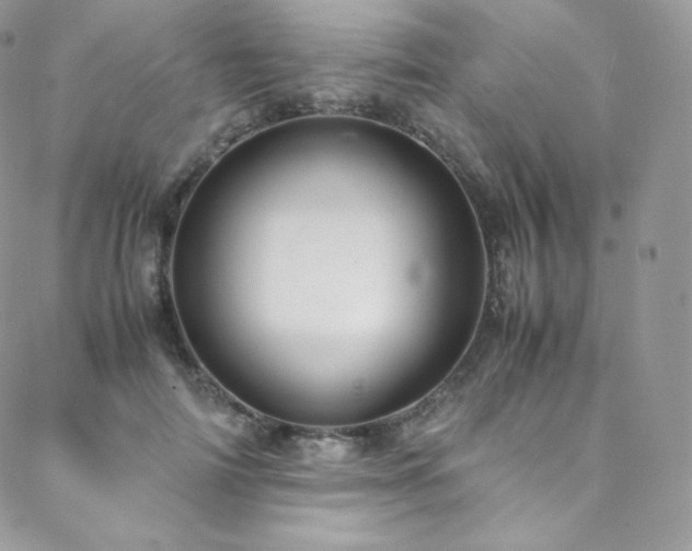 X0000088600698200705251214