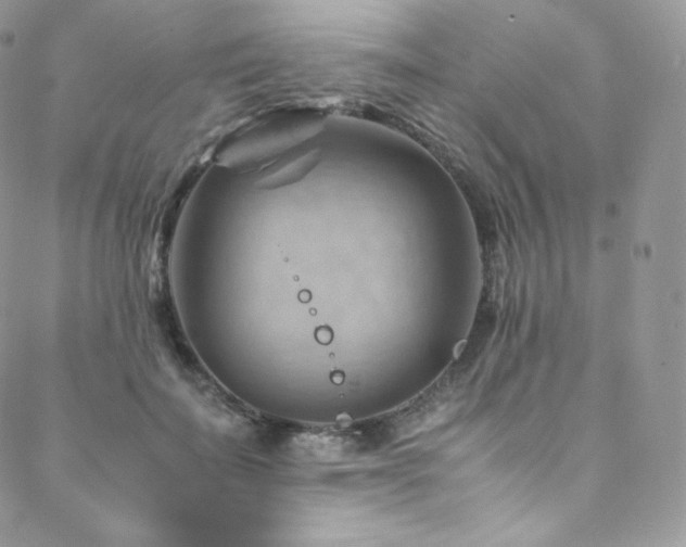 X0000088600699200705251214