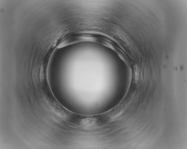 X0000088600700200705251214