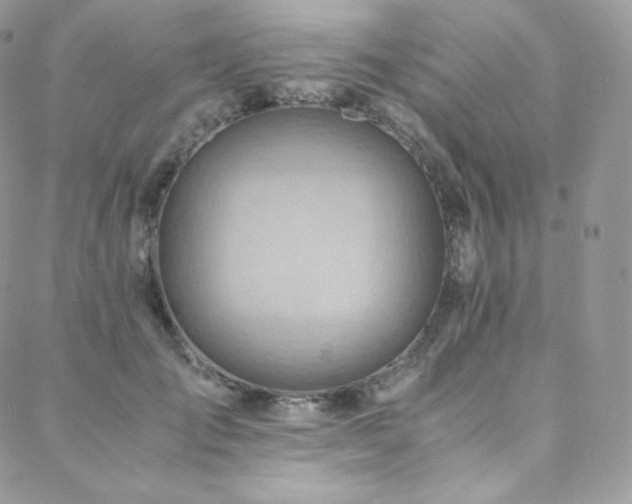 X0000088600701200705251214