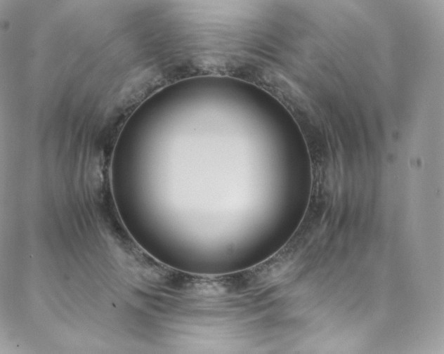 X0000088600702200705251214