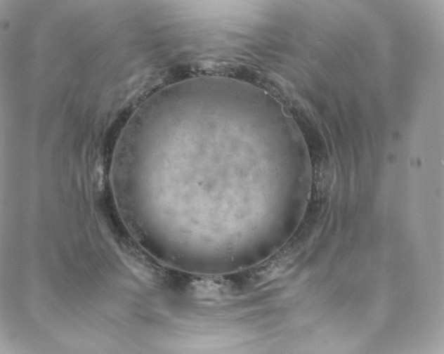 X0000088600703200705251214