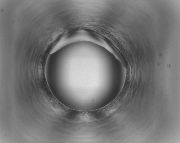 X0000088600704200705251214