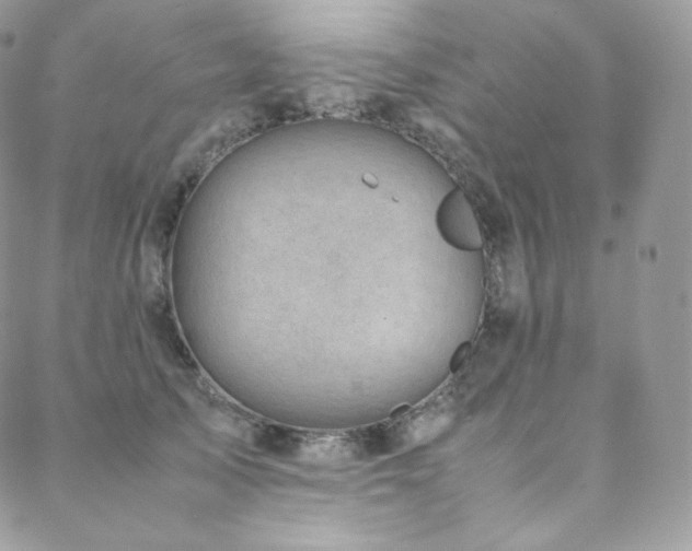 X0000088600705200705251214