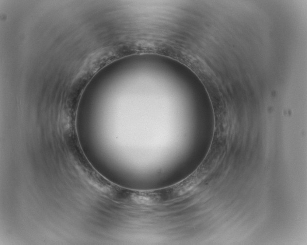 X0000088600706200705251214