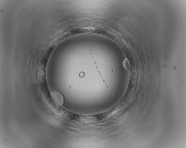 X0000088600707200705251214