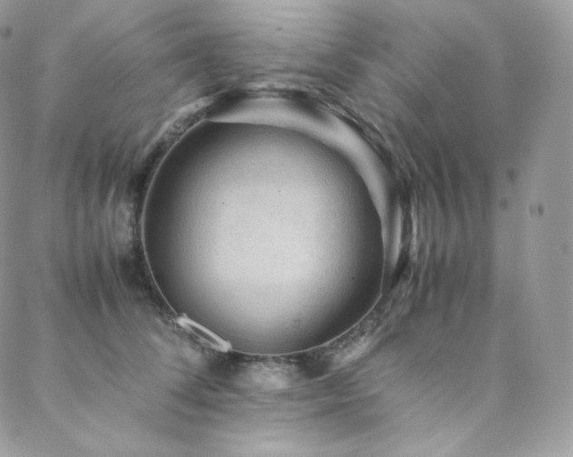 X0000088600708200705251214