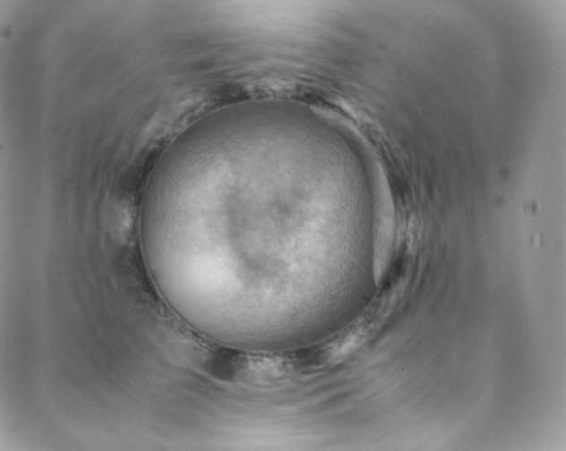 X0000088600709200705251214