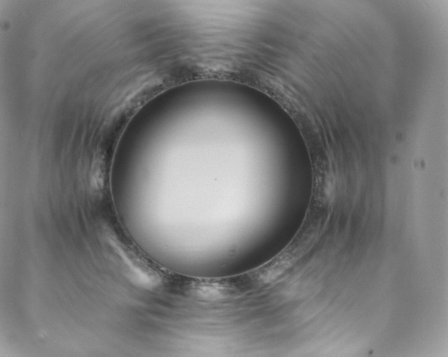 X0000088600710200705251214