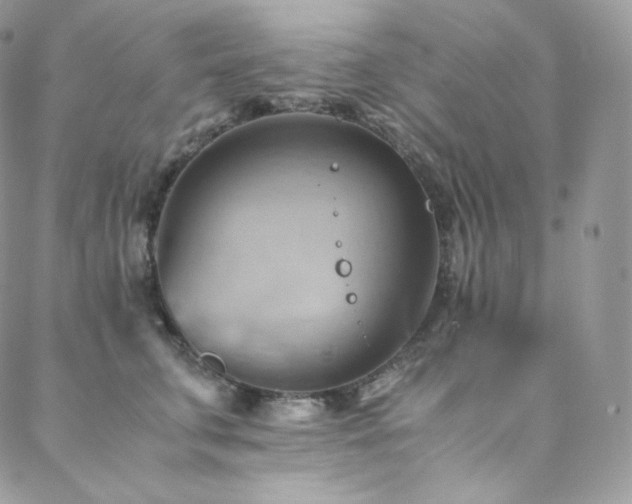 X0000088600711200705251214