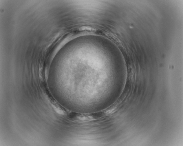 X0000088600712200705251214