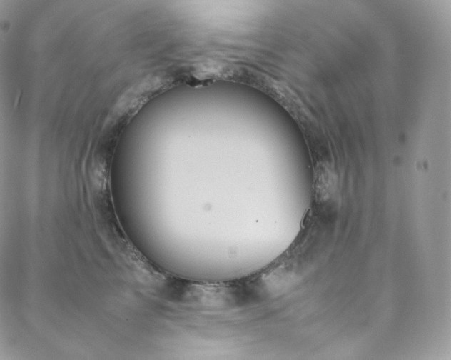 X0000088600713200705251214