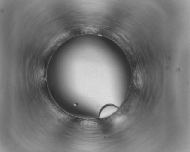 X0000088600714200705251214