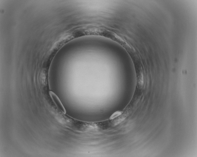 X0000088600715200705251214