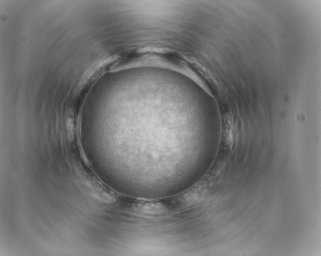 X0000088600716200705251214