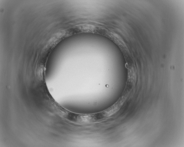 X0000088600717200705251214