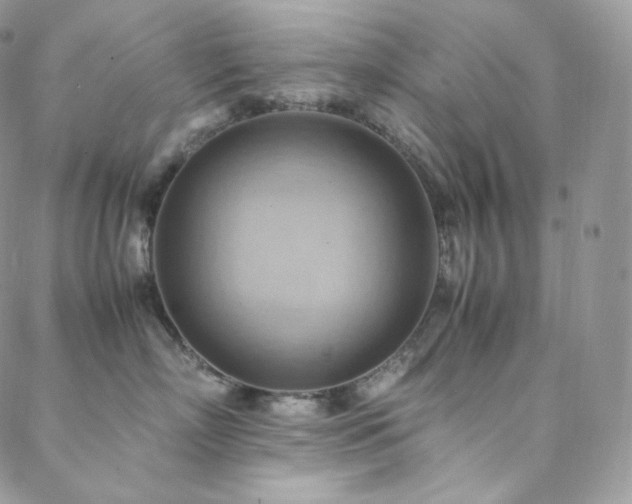 X0000088600718200705251214