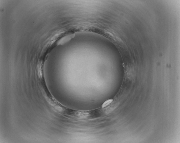 X0000088600719200705251214