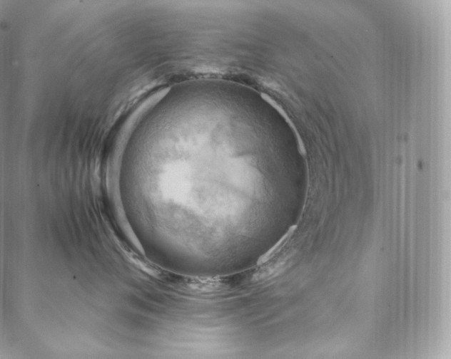 X0000088600720200705251214