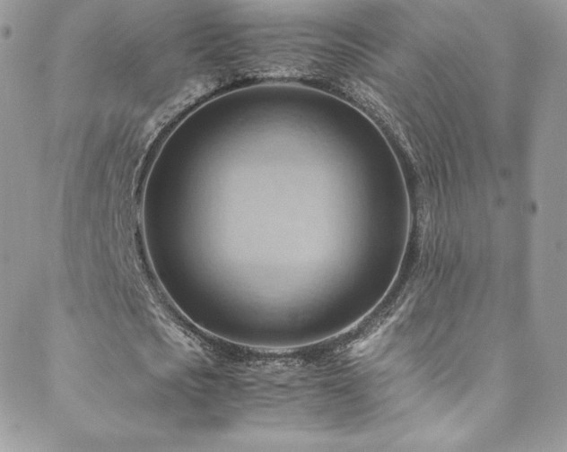 X0000088600721200705251213