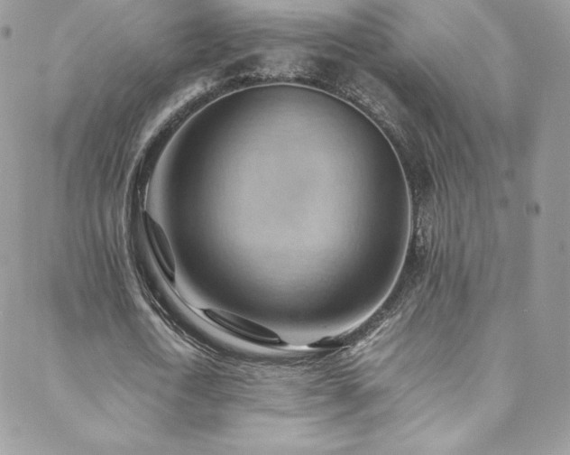 X0000088600722200705251213