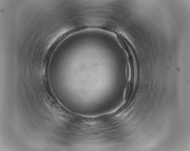 X0000088600723200705251213