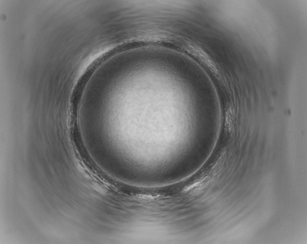 X0000088600724200705251213