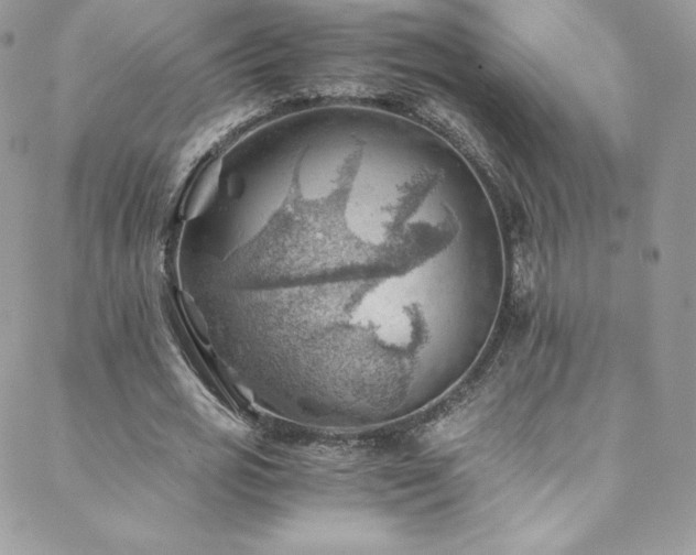 X0000088600725200705251213