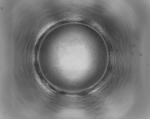 X0000088600726200705251213