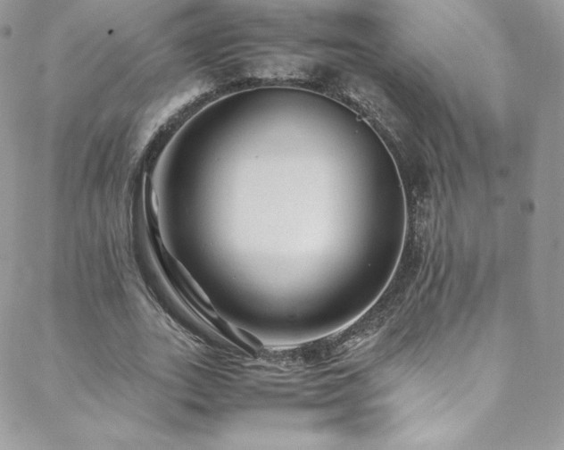 X0000088600727200705251213