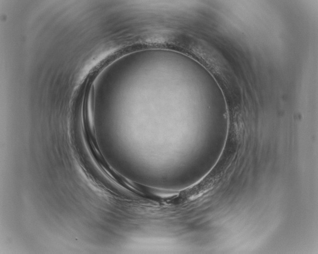 X0000088600728200705251213