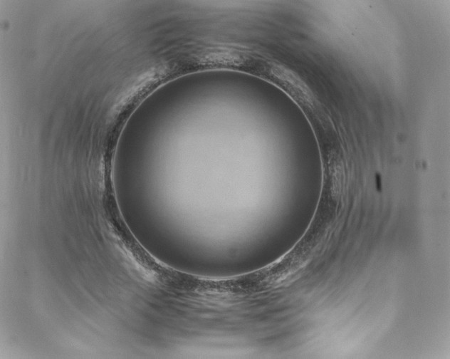 X0000088600729200705251213