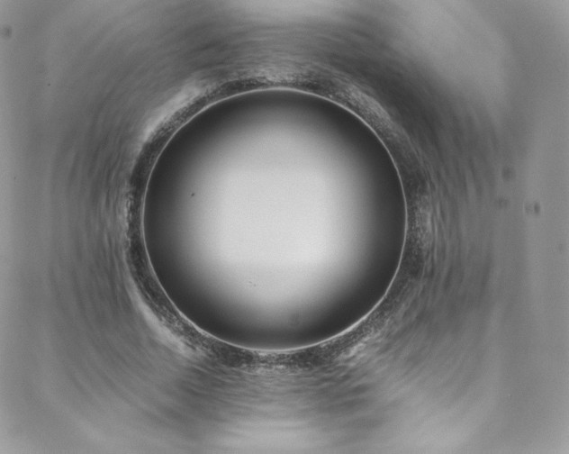 X0000088600730200705251213