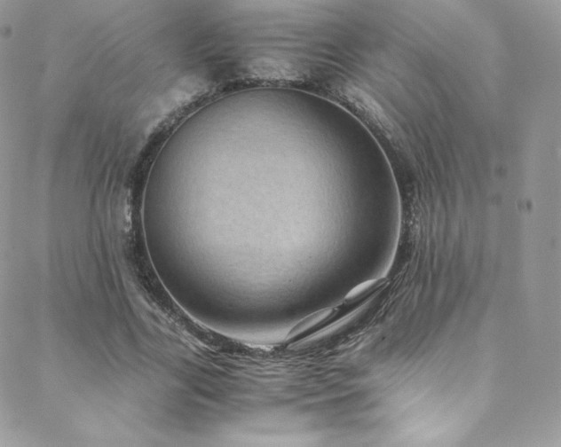 X0000088600731200705251213