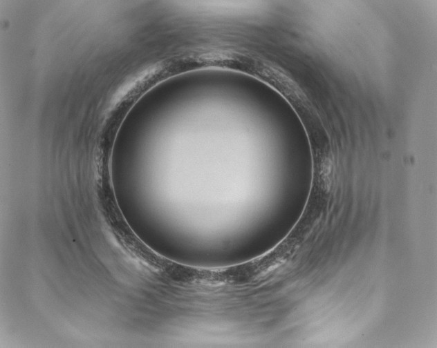 X0000088600732200705251213