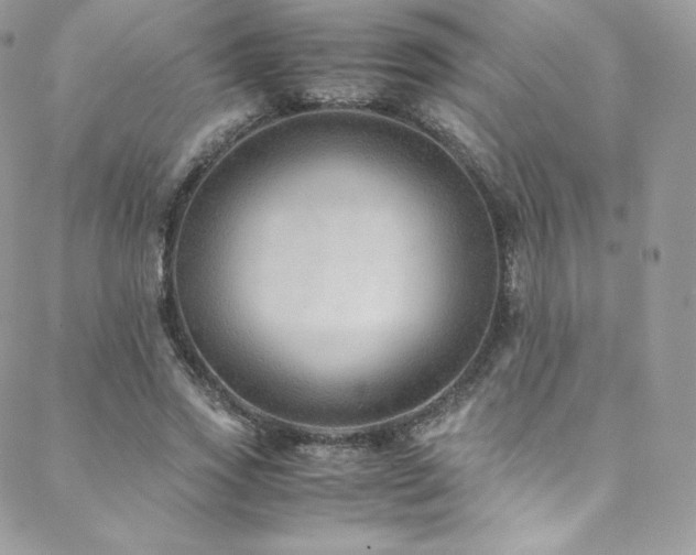 X0000088600733200705251213