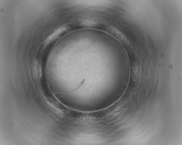 X0000088600734200705251213