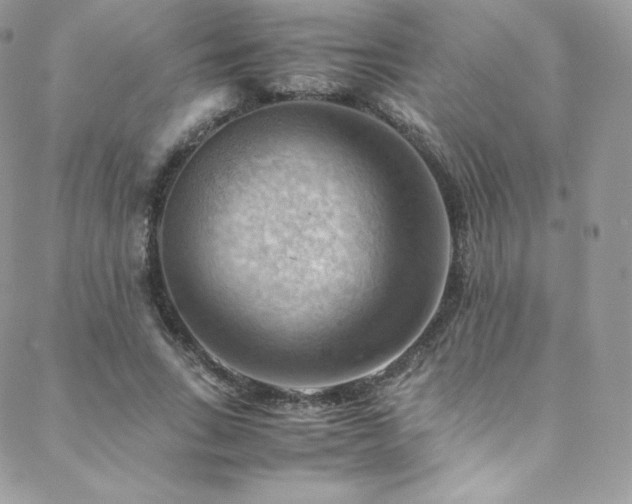 X0000088600735200705251213