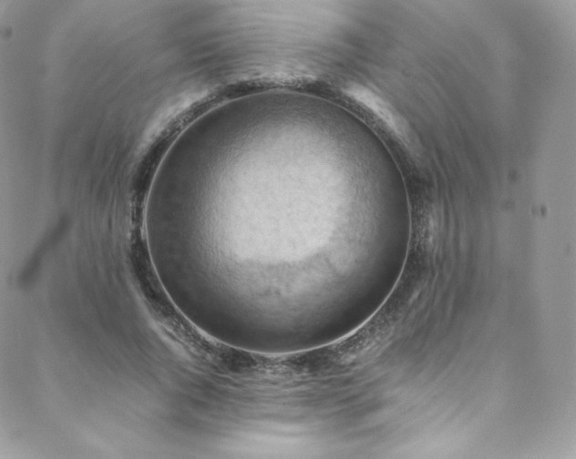 X0000088600736200705251213