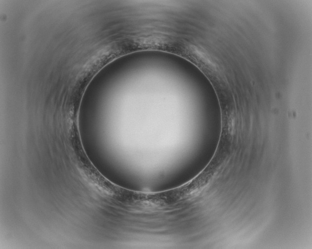 X0000088600737200705251213