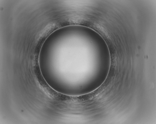 X0000088600738200705251213