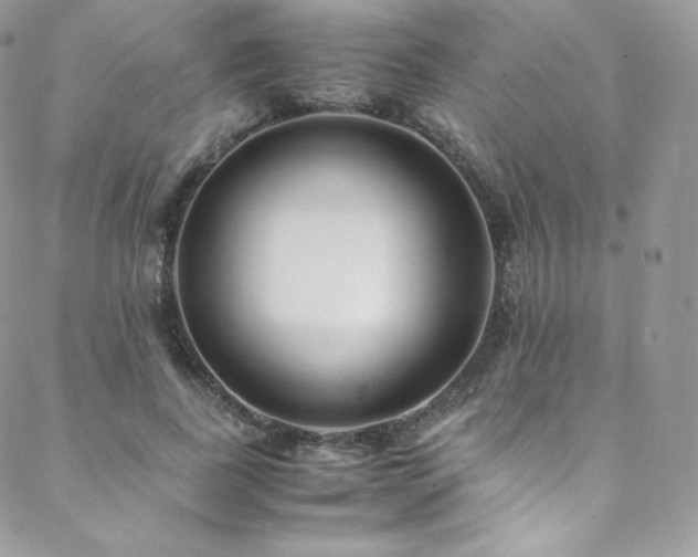 X0000088600739200705251213