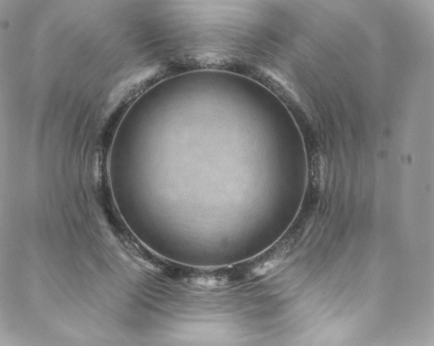 X0000088600740200705251213