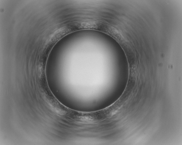 X0000088600741200705251213