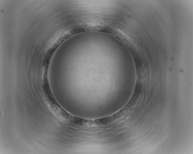 X0000088600742200705251213